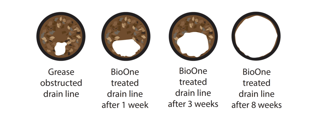pipes treated with bio-one
